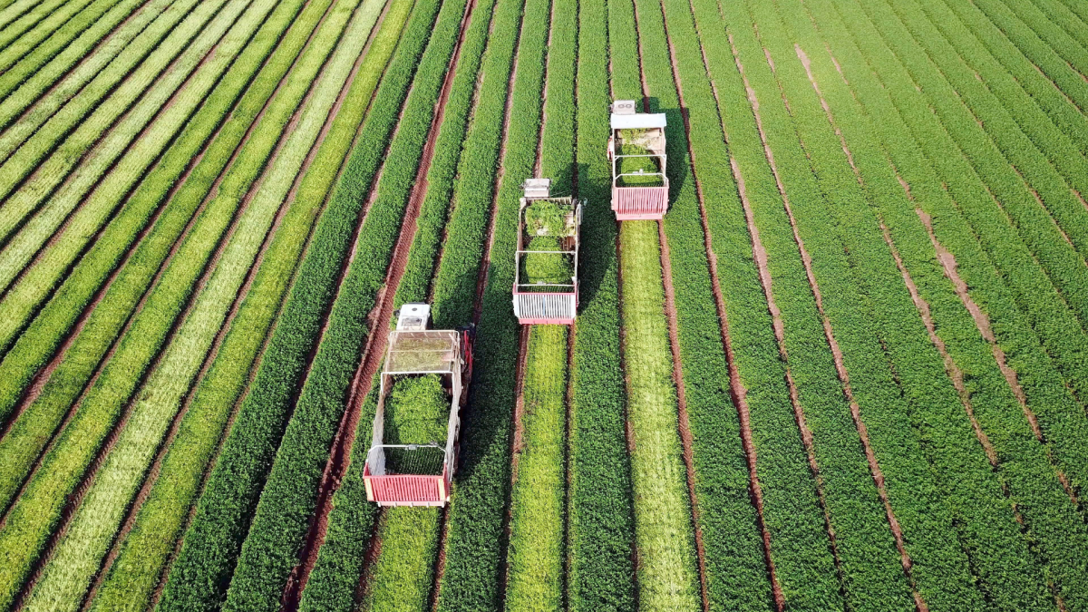 RestoLegis ® vous fait part d&rsquo;une information réglementation : Loi 2026-796 d&rsquo;urgence pour la protection et la souveraineté agricole.