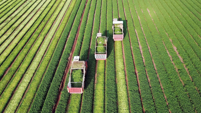 SOUVERAINETE AGRICOLE